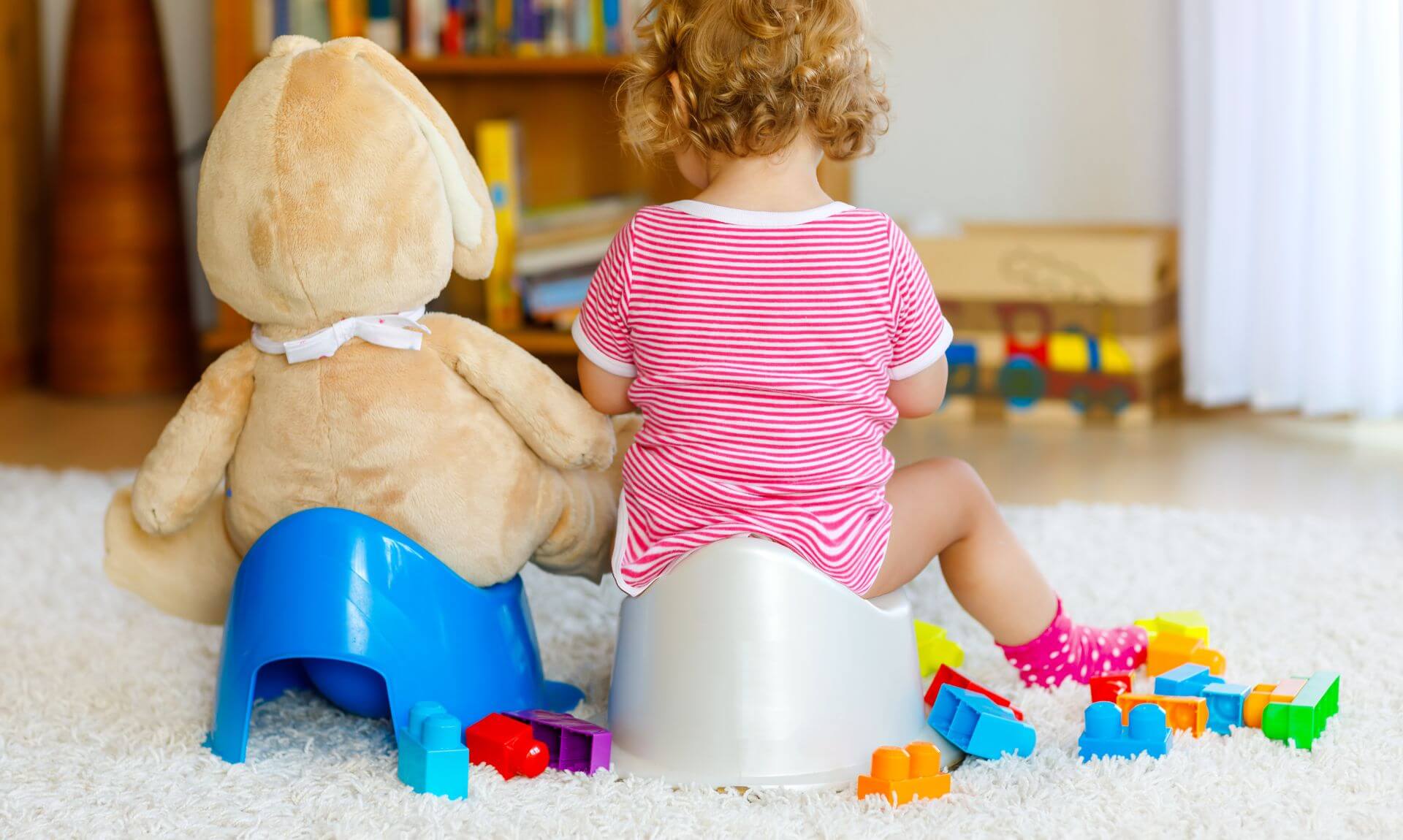 Quando você deve começar o treinamento com penico?