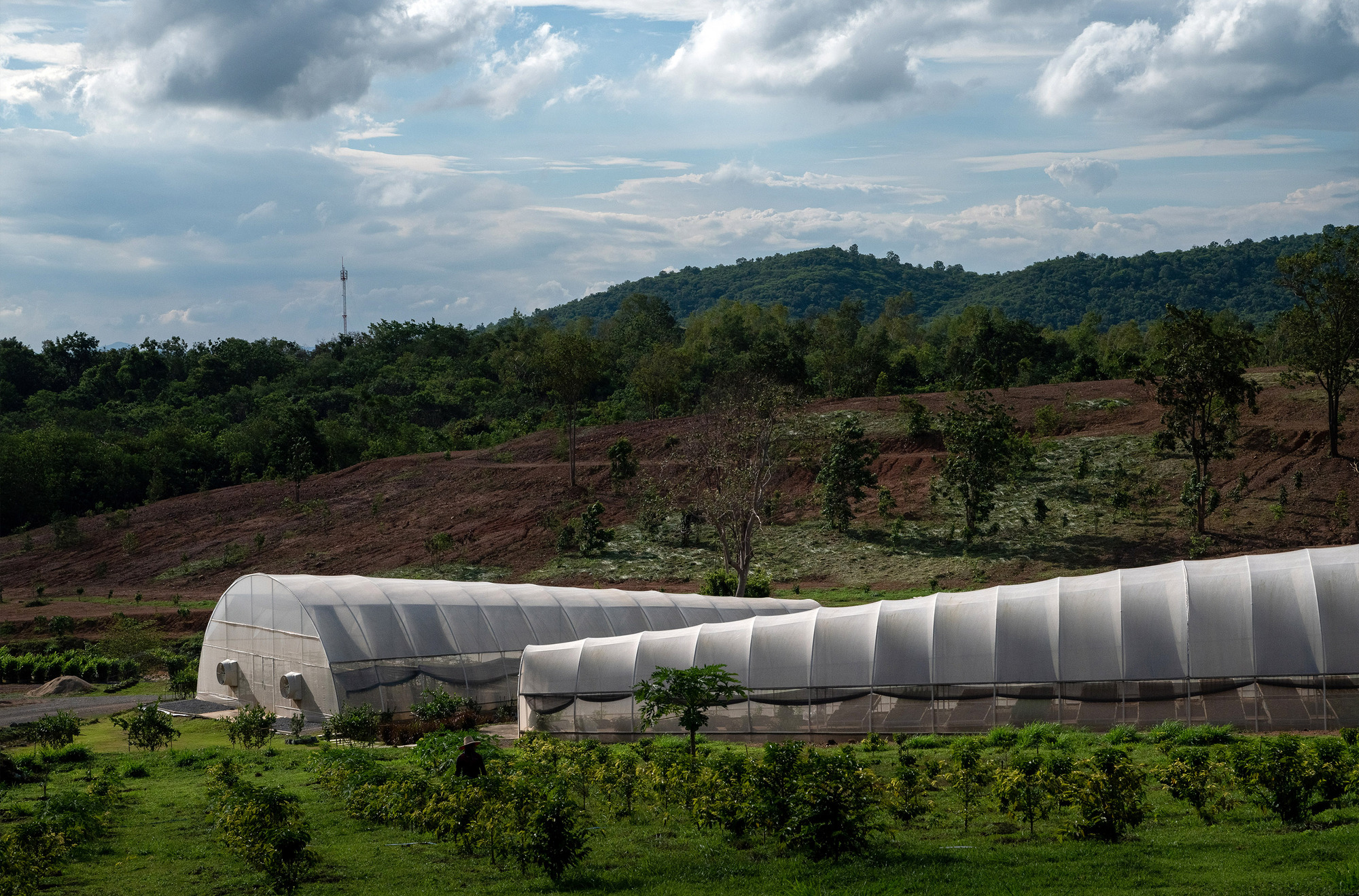 Khanong Phra Campsite / Phataa Living Design