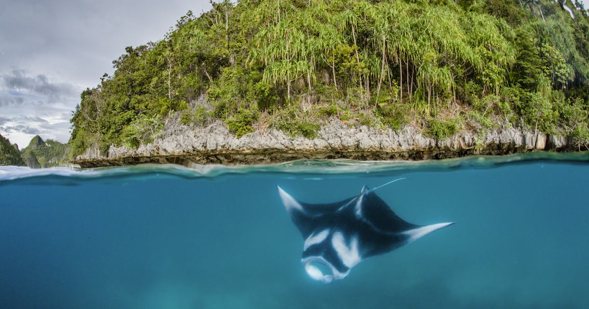 A Indonésia interrompe a mineração em ilhas preciosas