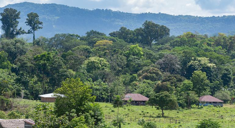 Especial ONU News: Os influenciadores armados da Colômbia