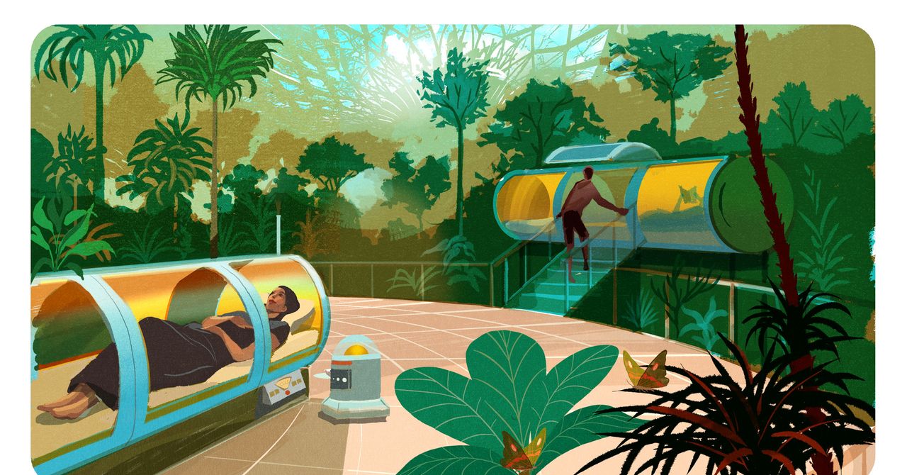 Braadada, biohacking e crioterapia: novas palavras -chave para viajantes de negócios modernos