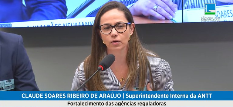 ANTT destaca papel estratégico e necessidade de reforço no quadro de servidores em audiência na Câmara dos Deputados — Agência Nacional de Transportes Terrestres
