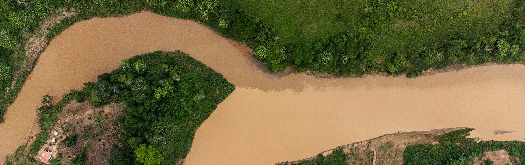 Embratur e Sebrae se reúnem com IPD para fortalecer parceria em prol do turismo sustentável