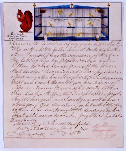 Eulgio do Regulamento de Bedlam para um esquilo ser exibido – o blog de história