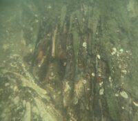 Maior grupo de lingotes bipiramidais encontrados na Bósnia – o blog de história