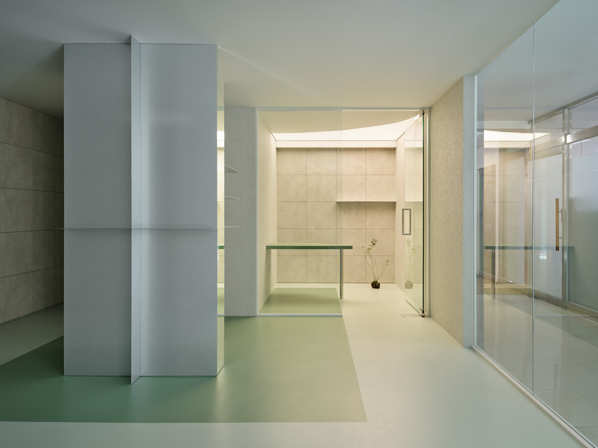 Palo Verde Aesthetic (estética PV) / Studio Gimgeosil