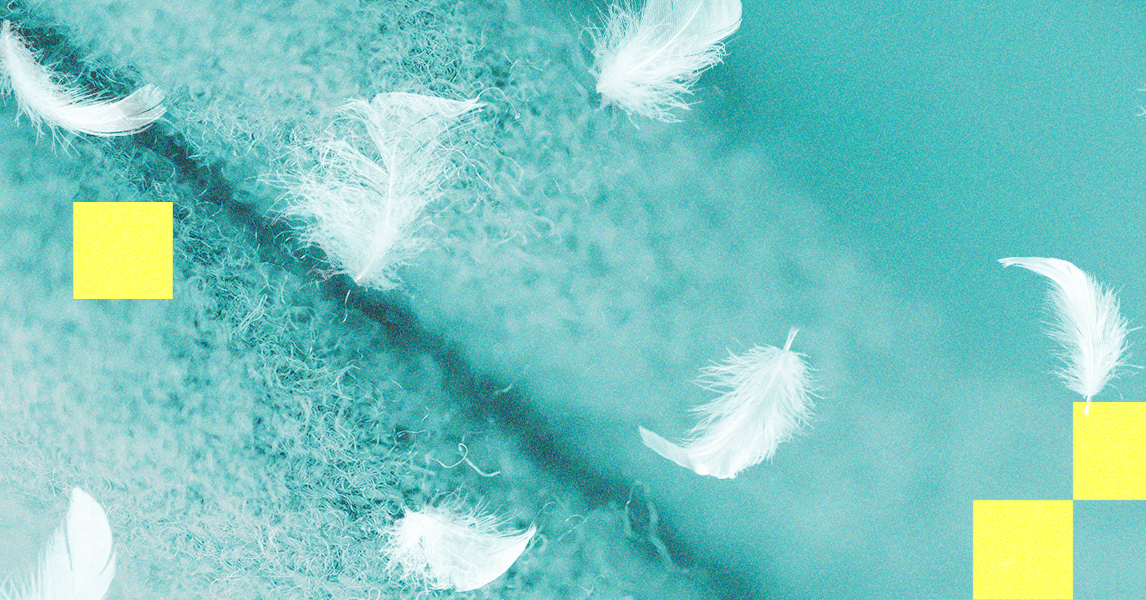 O que é alternativo para baixo e quem deve comprá -lo? Especialistas explicam (2025)