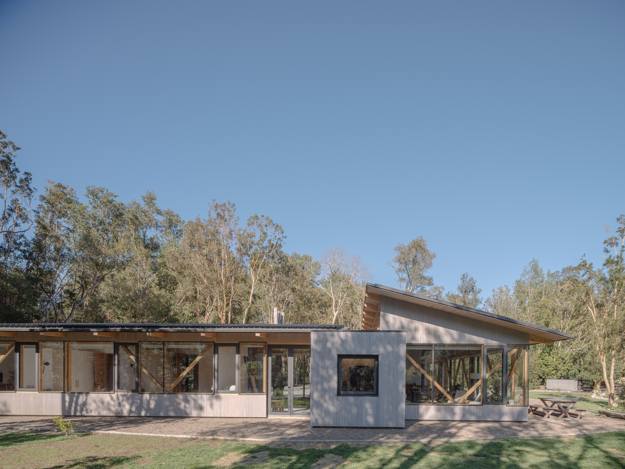 The Arboreto House / Camila Pineda Arquitectura