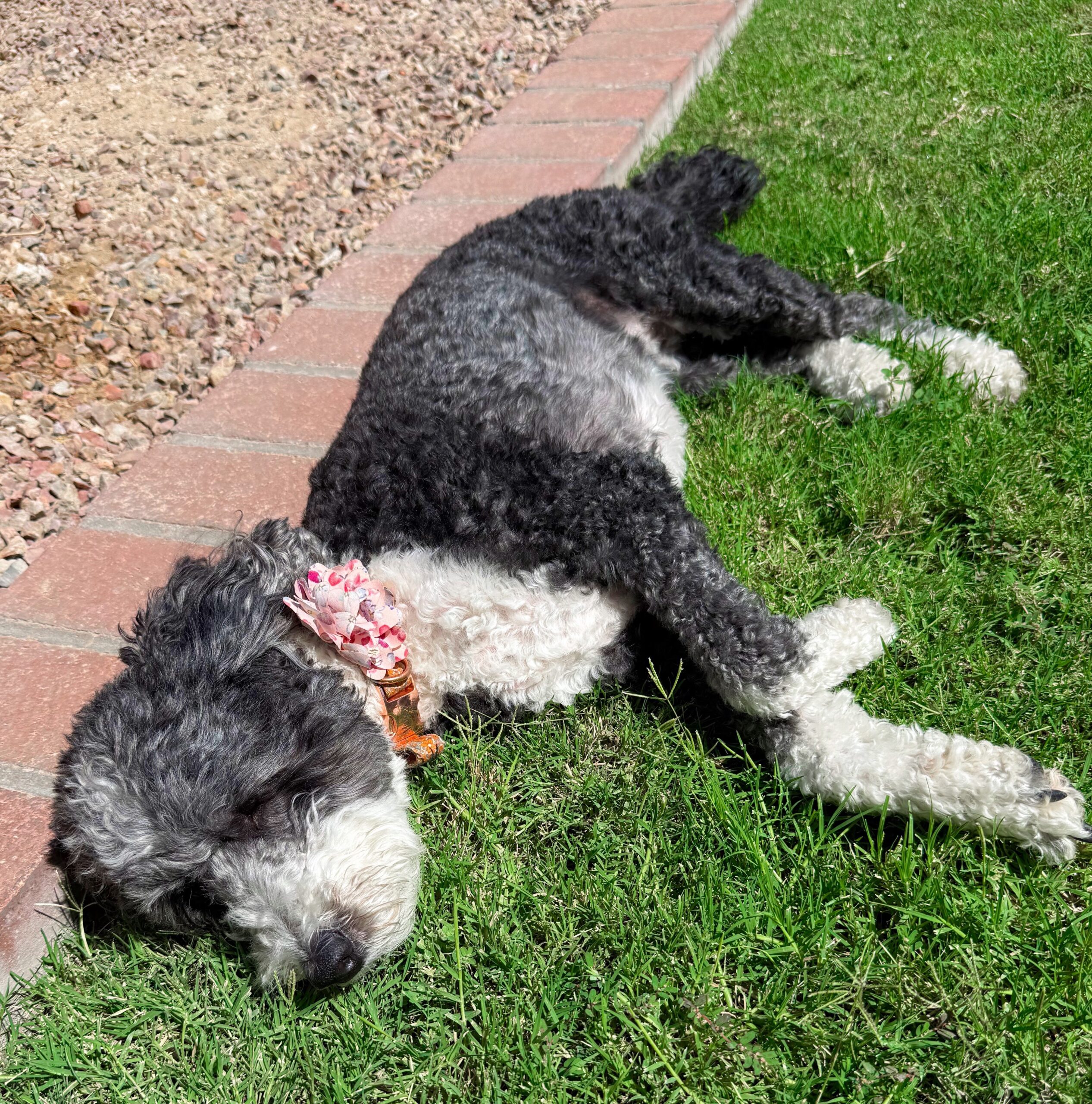 8.22 FAves de sexta -feira – o fitnessista