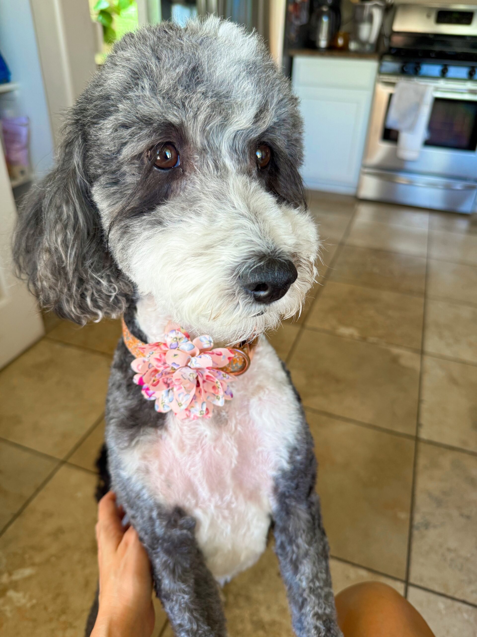 8.1 FAves de sexta -feira – The Fitnessista