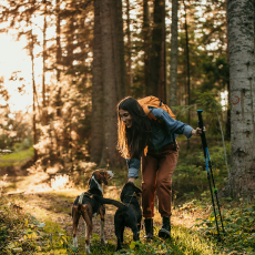 Solidariedade das mulheres através do crescimento individual
