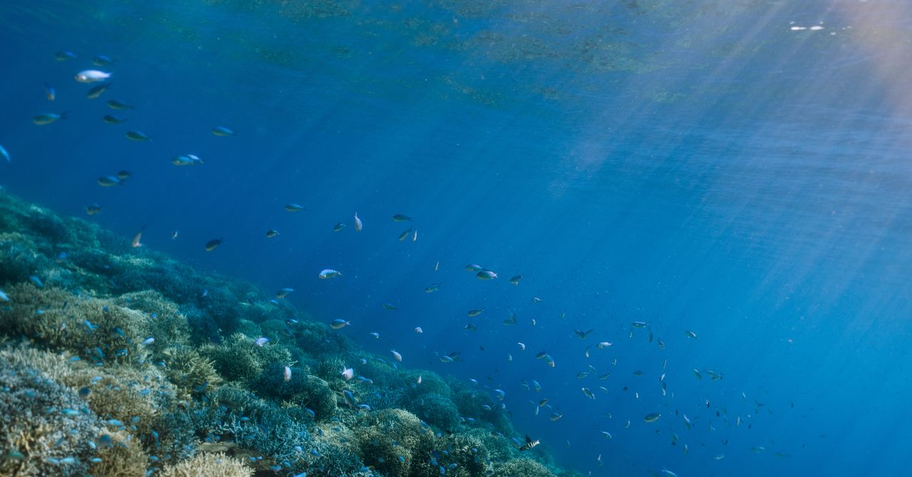 Os oceanos do mundo estão se arremessando para o ponto de ruptura