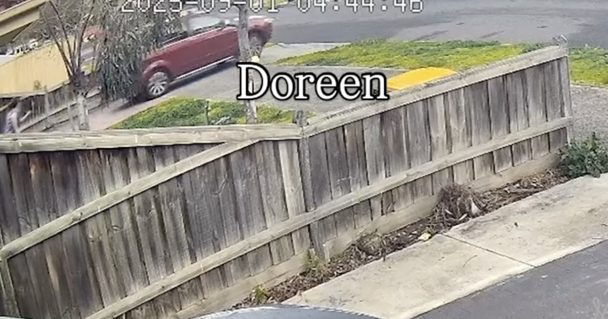 Assista o momento aterrorizante ladrões em Victoria roubando um carro com crianças pequenas nas costas