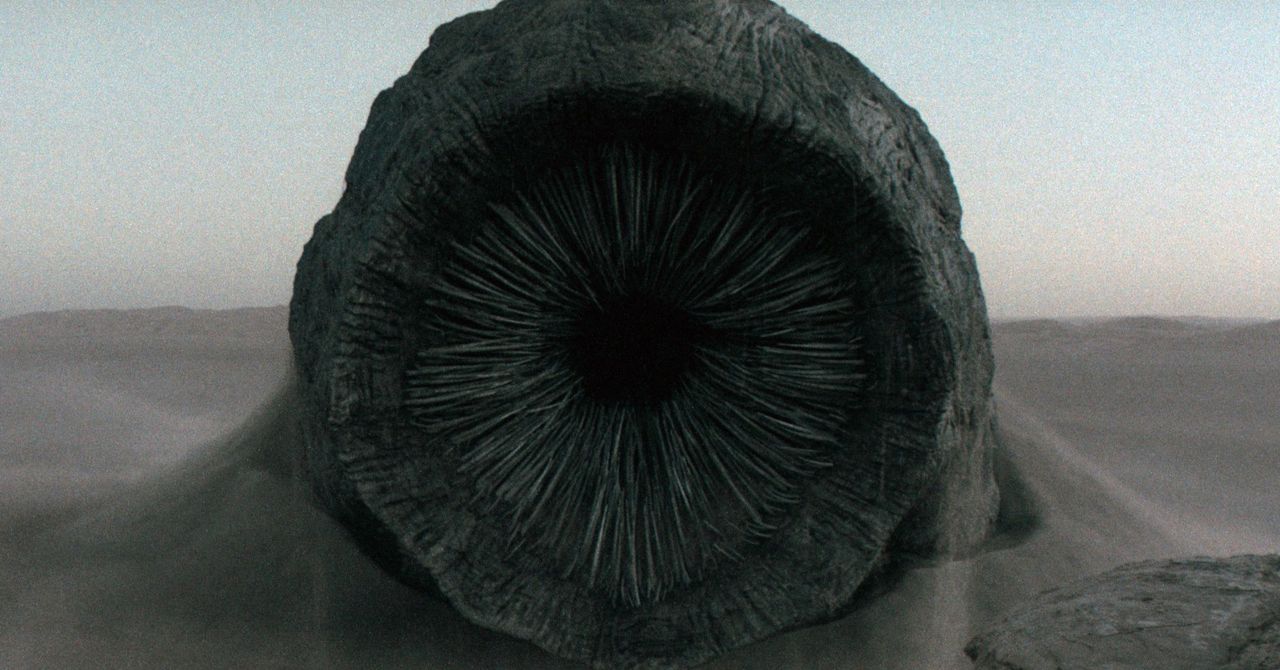 Um verme perigoso está comendo seus pacotes de software