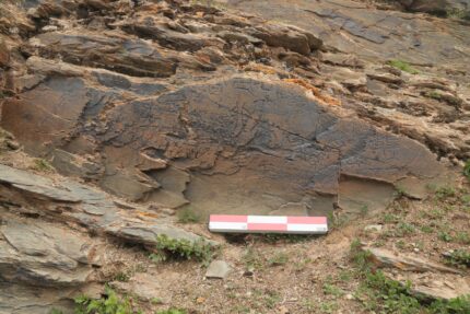 O primeiro imperador da China procurou elixir da vida no Tibete – o blog de história