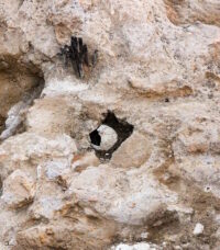 Medalhões do Papa Paulo II encontrados na Piazza Venezia – The History Blog