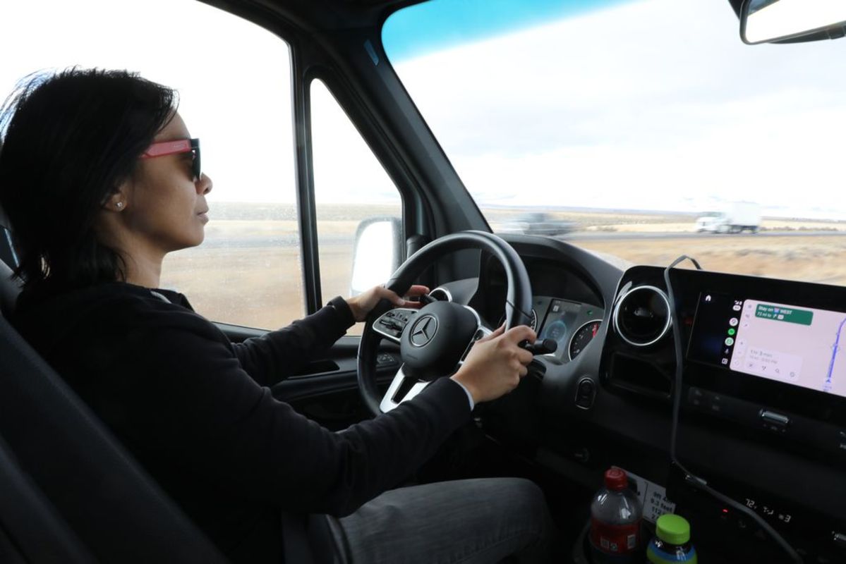 Jornalistas automotivos salvam filhotes! O que é a Operação Frodo?