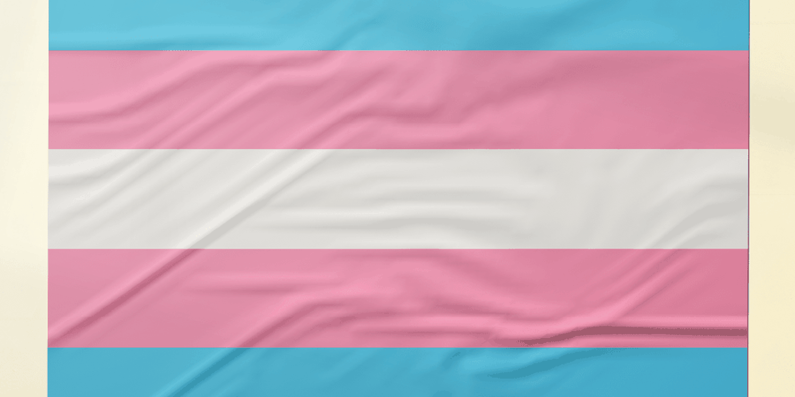 Pesquisa recomenda ações de prevenção ao HPV focadas em pessoas trans