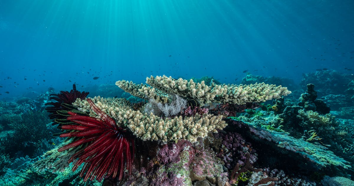 5 maneiras pelas quais o oceano mantém nosso clima sob controle