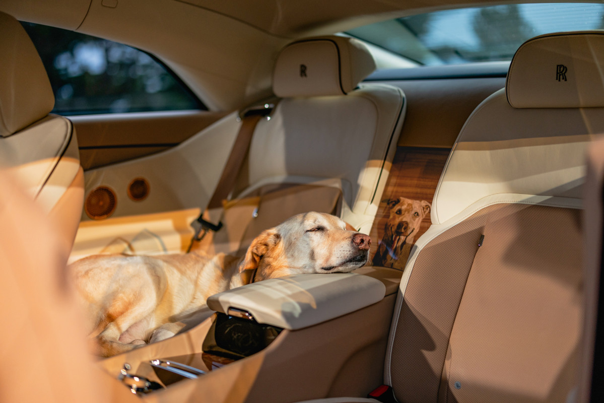 Este espectro único de Rolls-Royce é uma carta de amor para um cachorro chamado Bailey