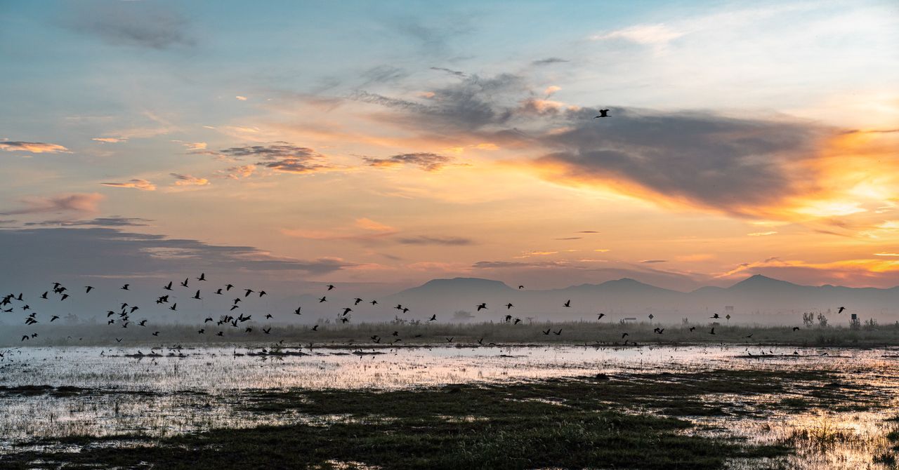Chuvas enterram um megaaeroporto no México