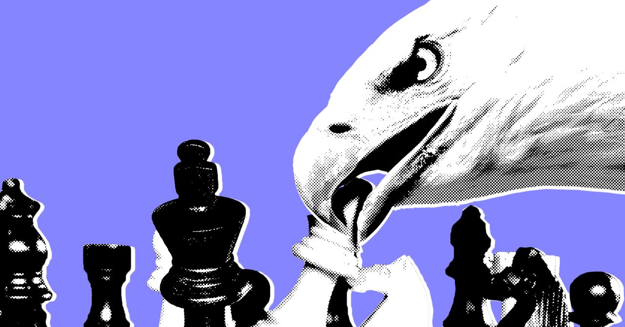 Trabalhadores federais estão sendo usados ​​como peões na paralisação