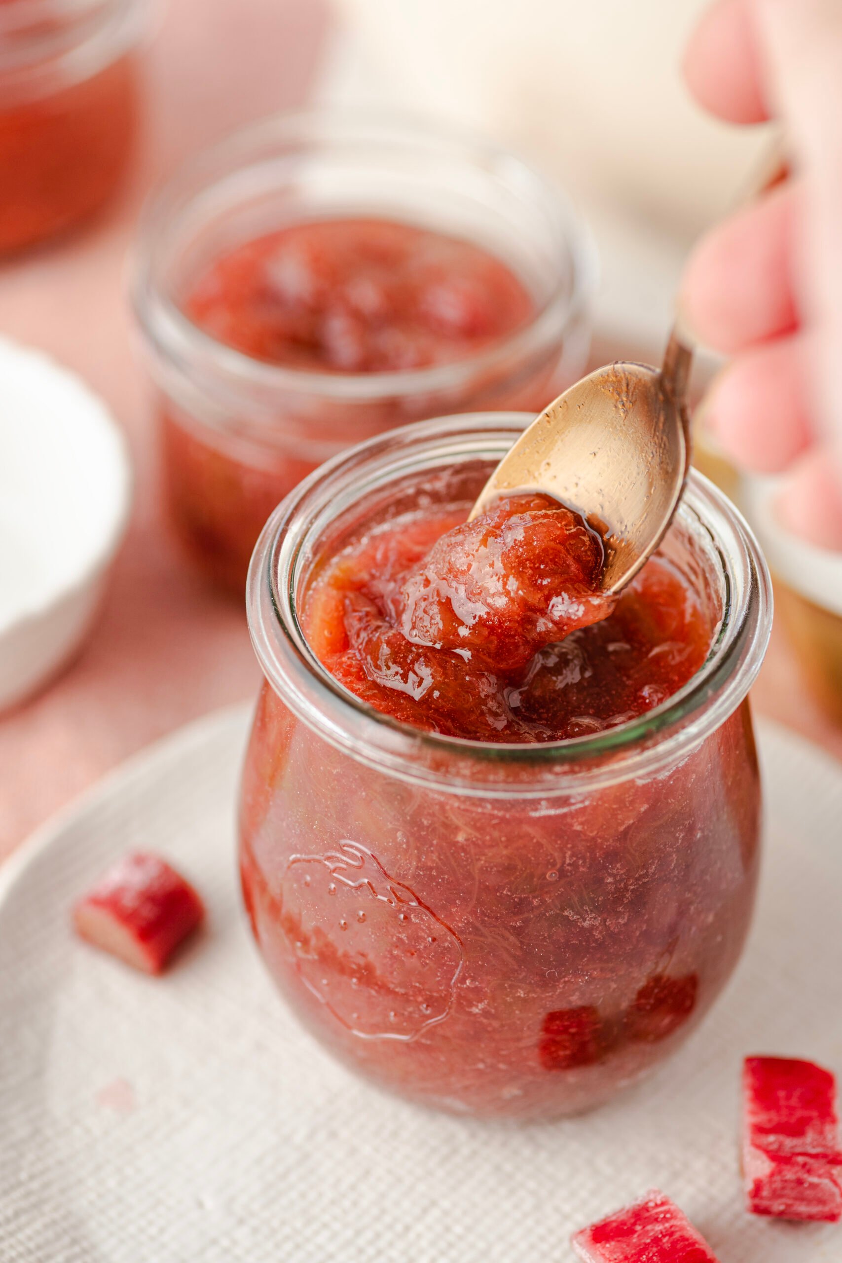 Geléia de Ruibarbo – Comida Fé Fitness