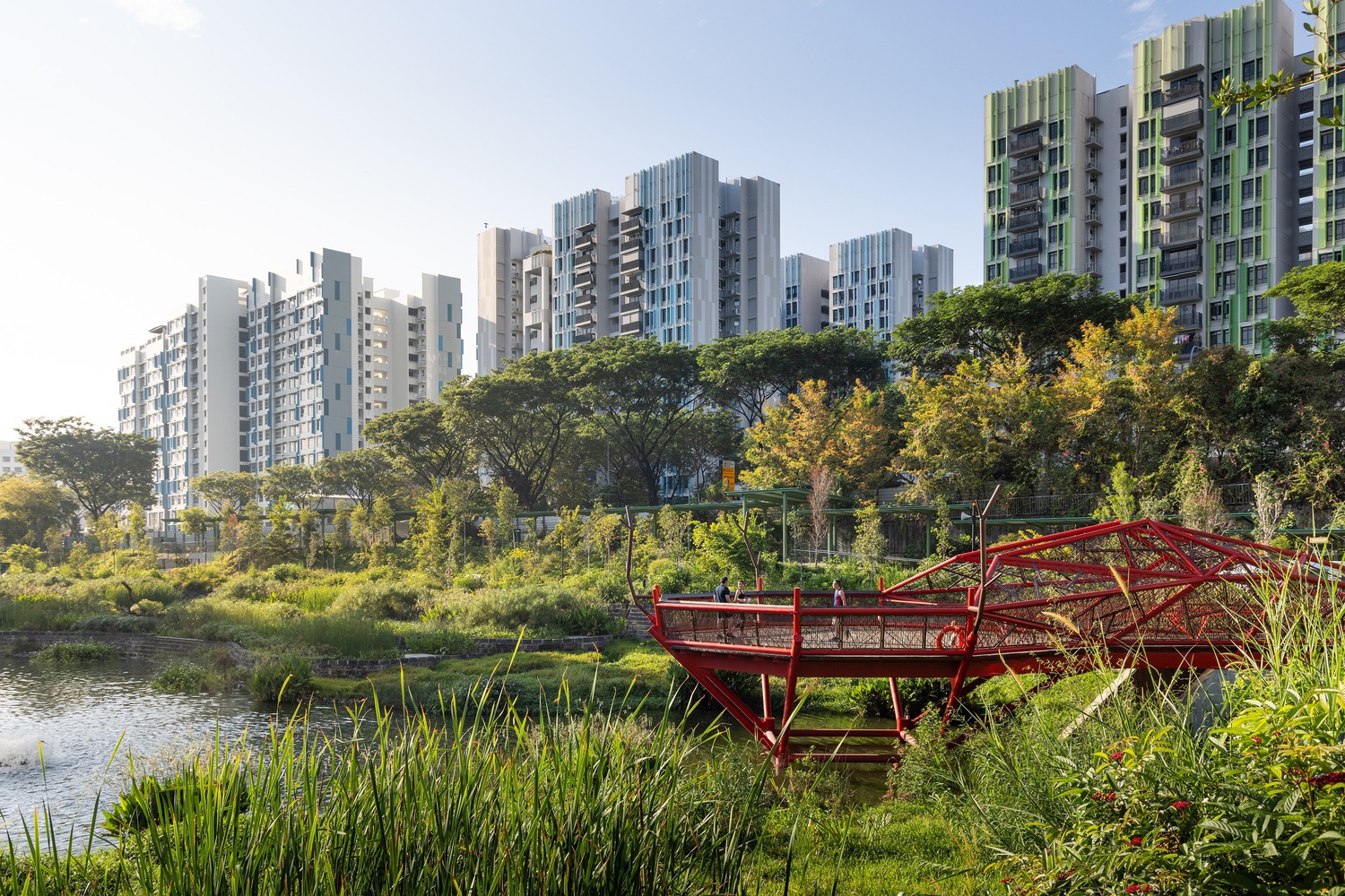 Insetos, abelhas e árvores: como integrar a biodiversidade no ambiente construído