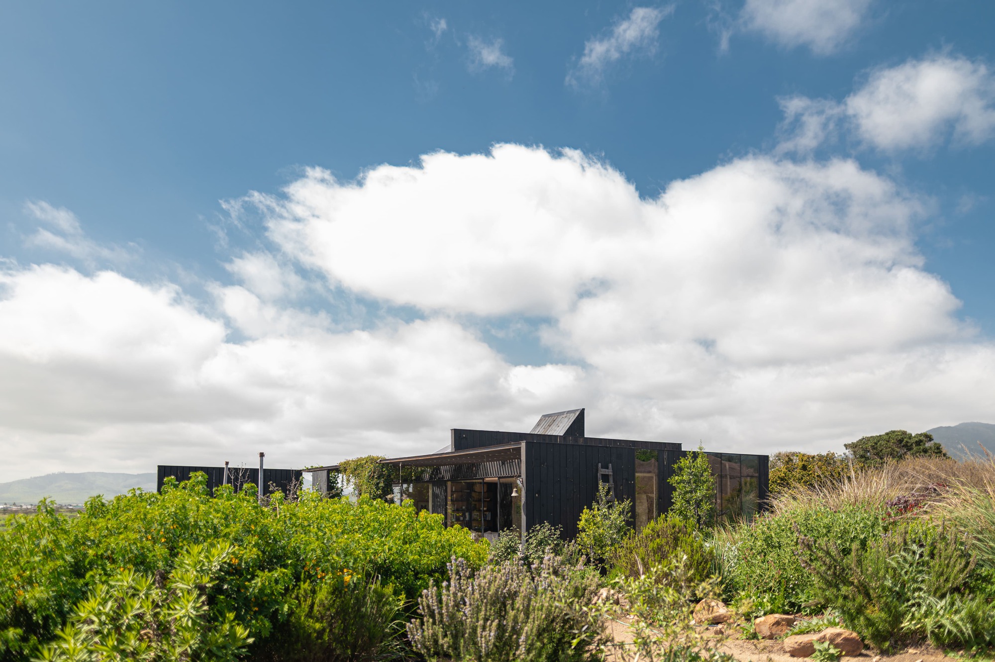 Casa El Tome / COLETIVO