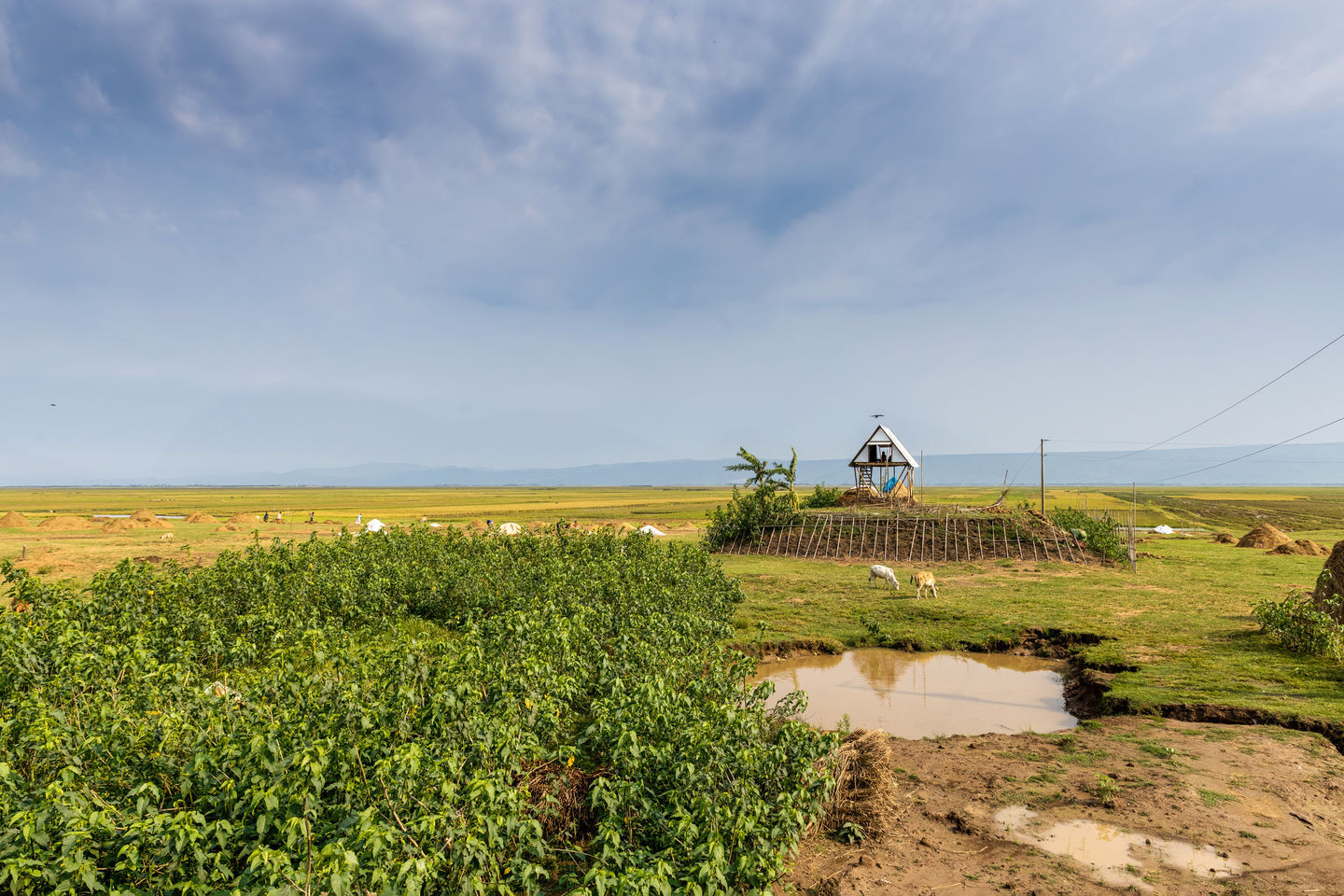 Khudi Bari: Arquitetura para Deslocamento Climático