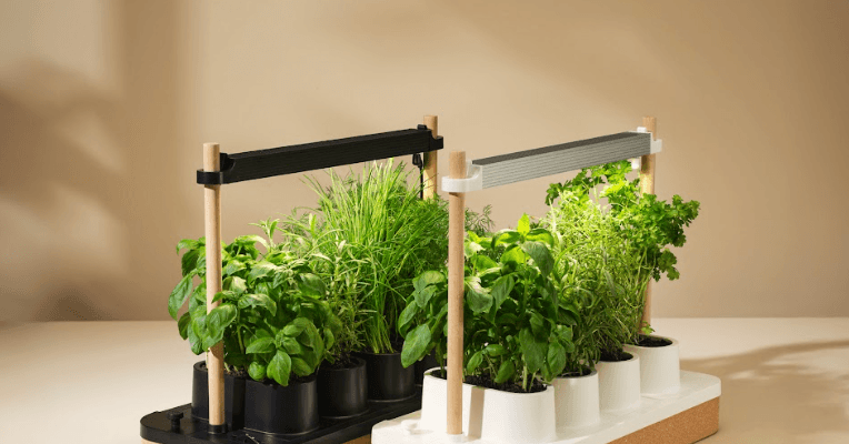 O Auk Mini Herb Garden ainda tem até US $ 30 de desconto (2025)