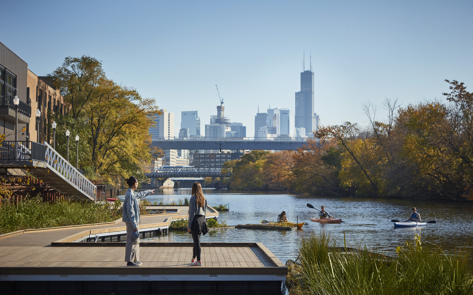 Conhecimento local e contexto ecológico: lições da cidade a partir da Wild Mile de Chicago