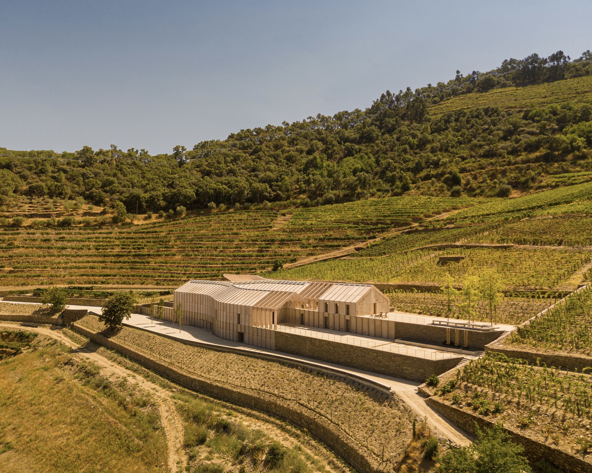 Adorigo Farm Winery / Atelier Sergio Rebelo