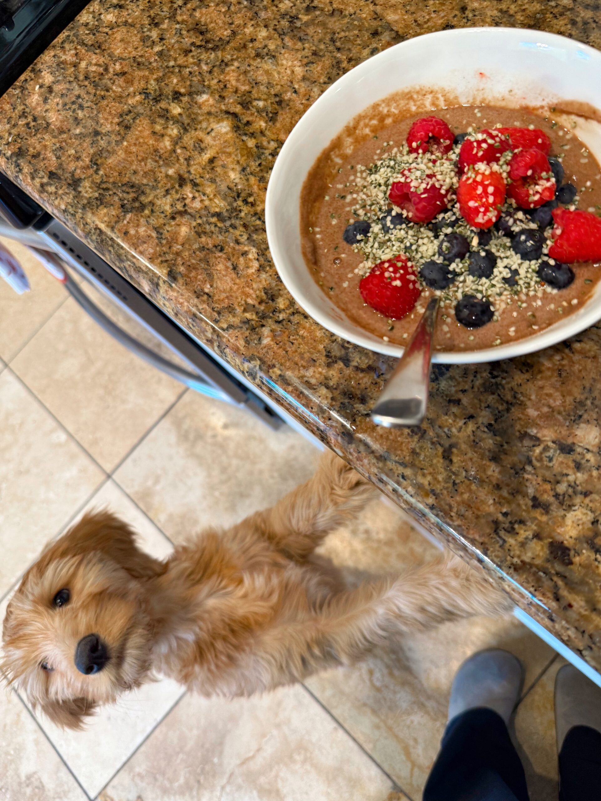 13h30 Favoritos de sexta-feira – The Fitnessista