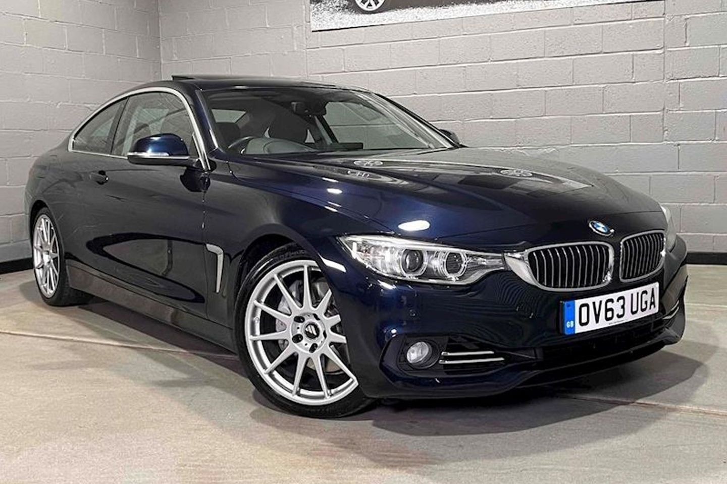 À venda: um bando de manifestantes Birds BMW