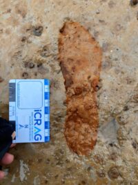 Passeadores de cães na Escócia tropeçam em pegadas de 2.000 anos – The History Blog