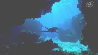 Galeria Visit Brasil Oceano transforma Lisboa em vitrine imersiva da diversidade e sustentabilidade brasileira