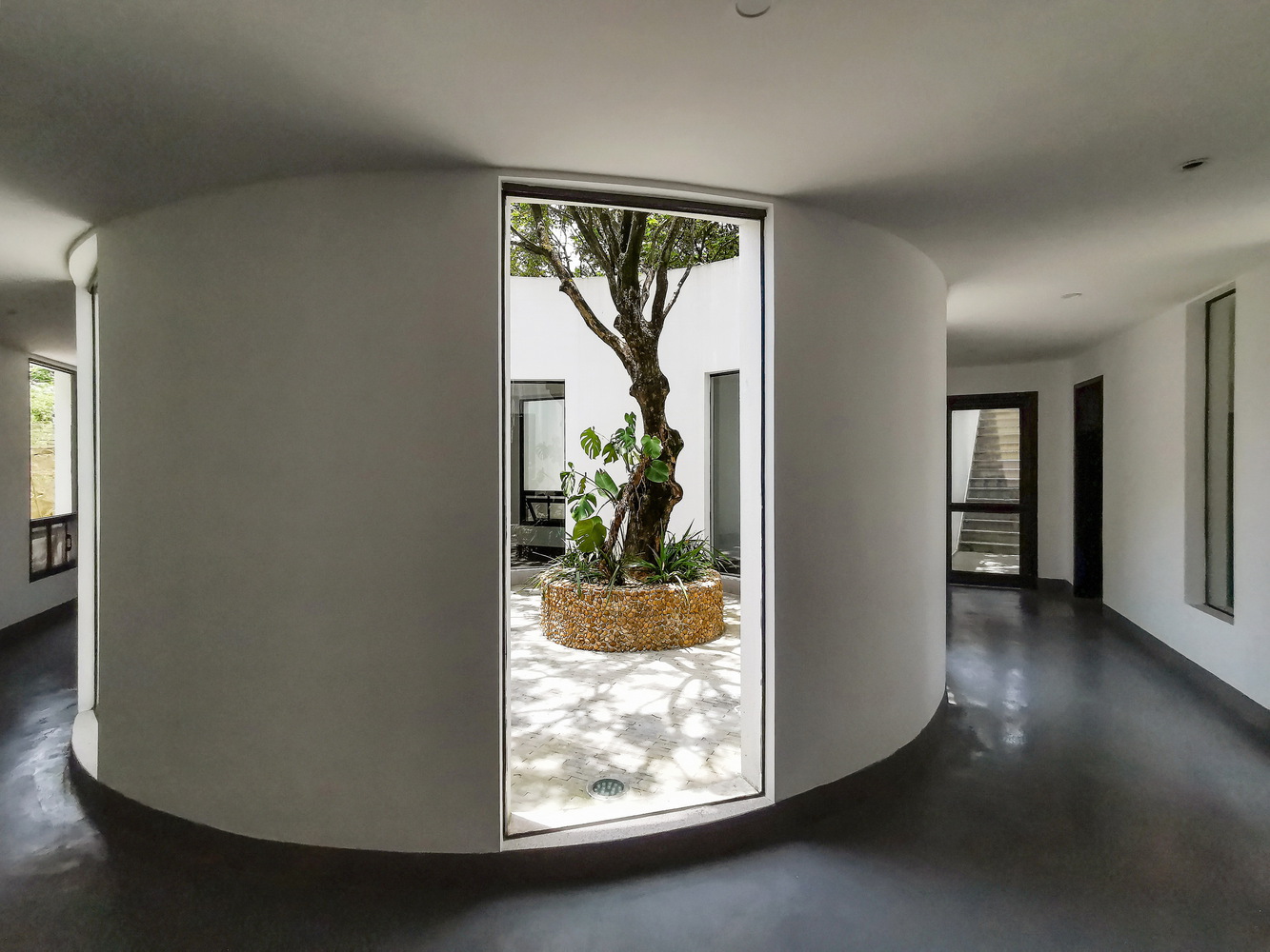 Como enquadrar a paisagem: estratégias de projeto em arquitetura residencial