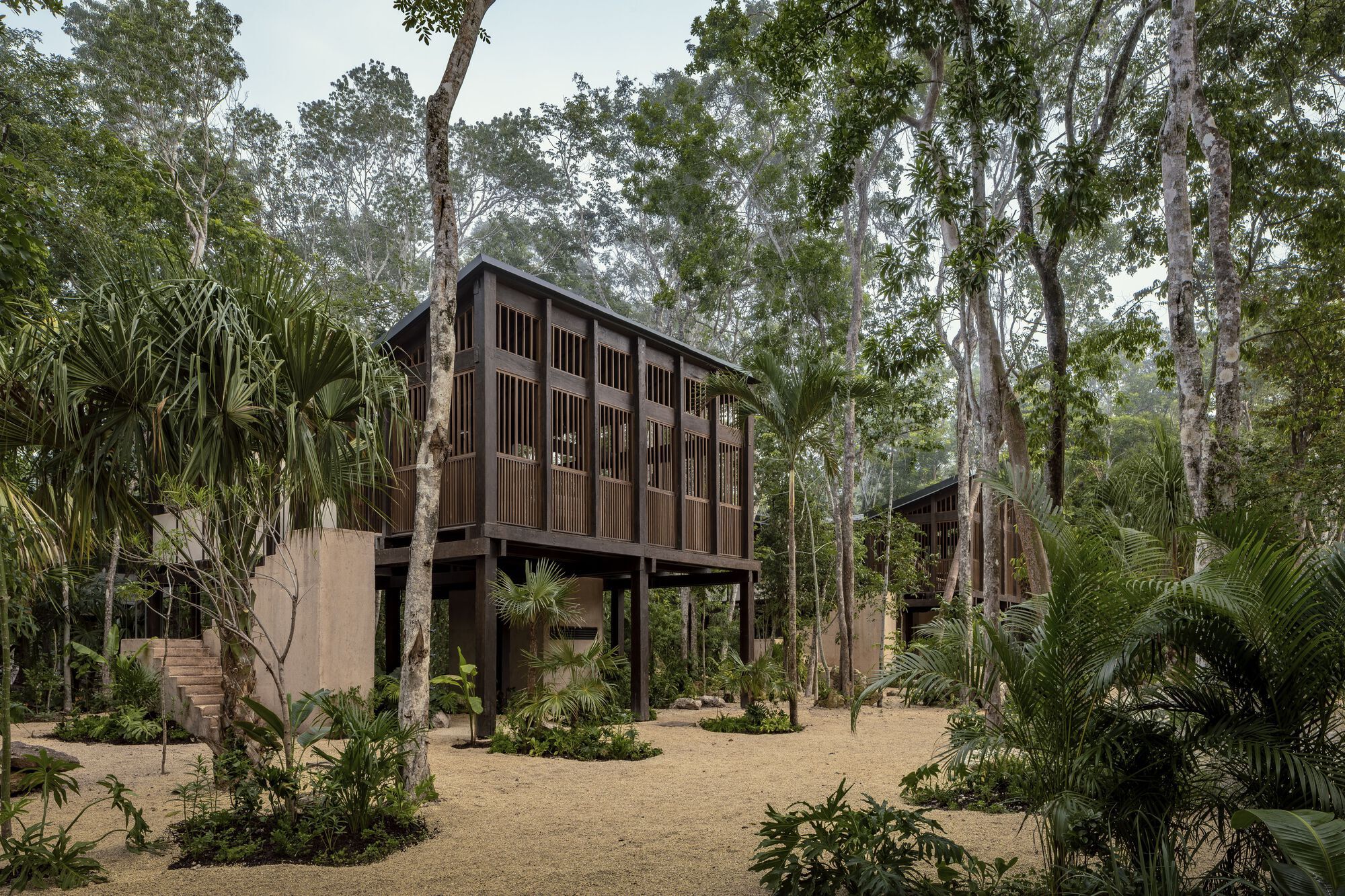 Frida Escobedo e Ma Yansong entre 11 arquitetos internacionais nomeados bolsistas honorários da AIA em 2026