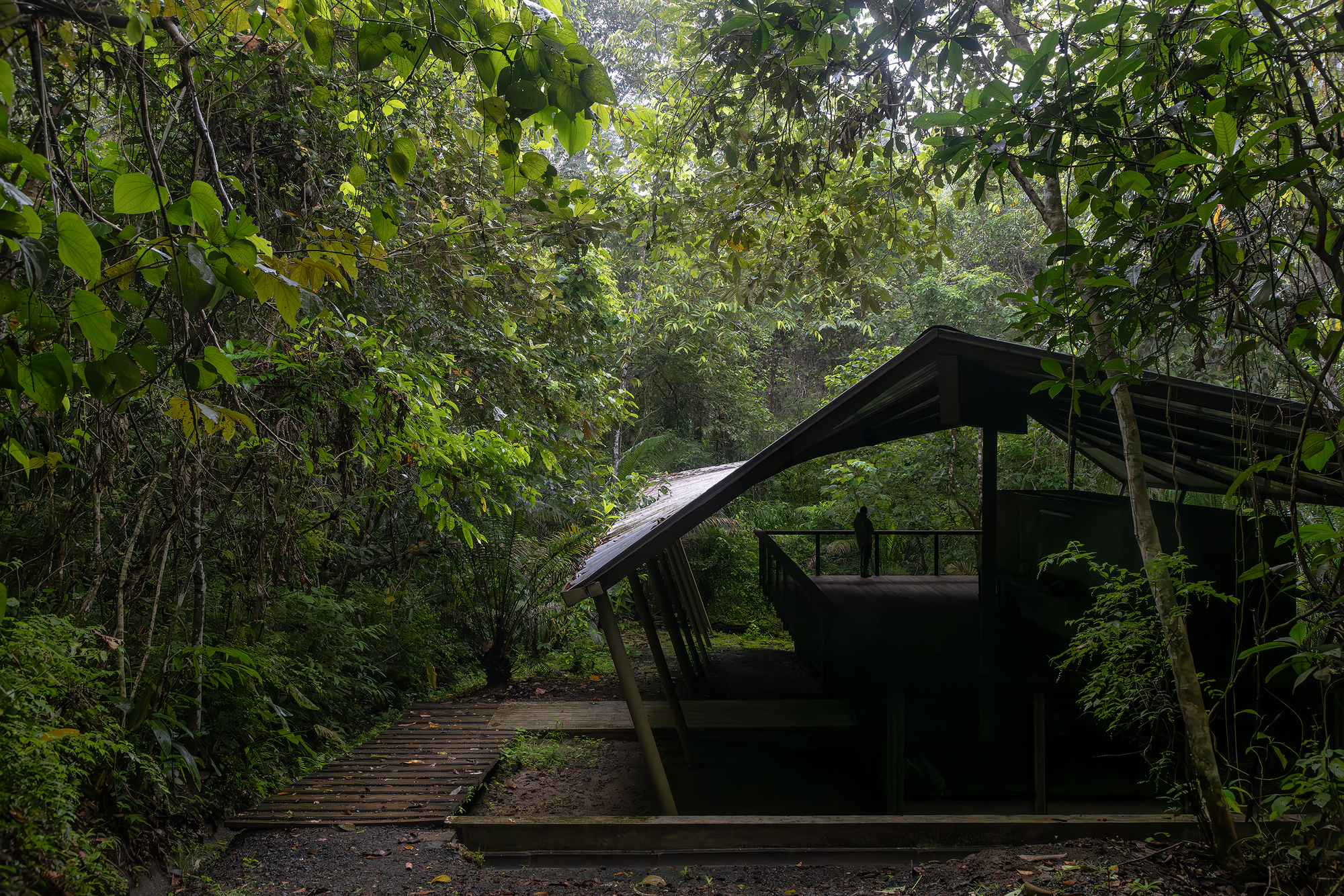 Refúgio na Floresta Tropical – Centro de Formação de Guias Turísticos / Héctor Ayarza + Estudio Garúa