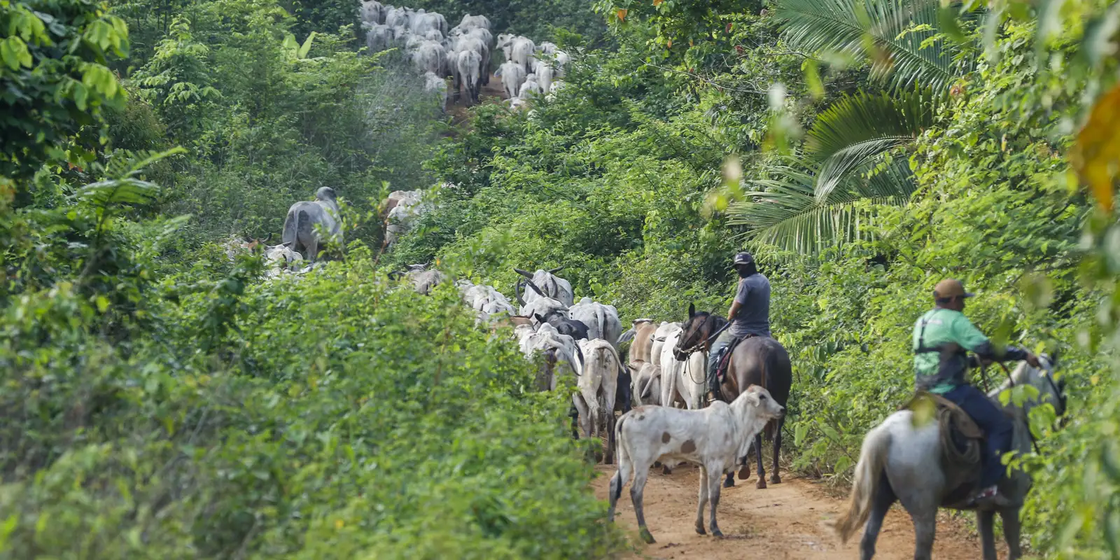 Atividade econômica brasileira cresce 2,5% em 2025