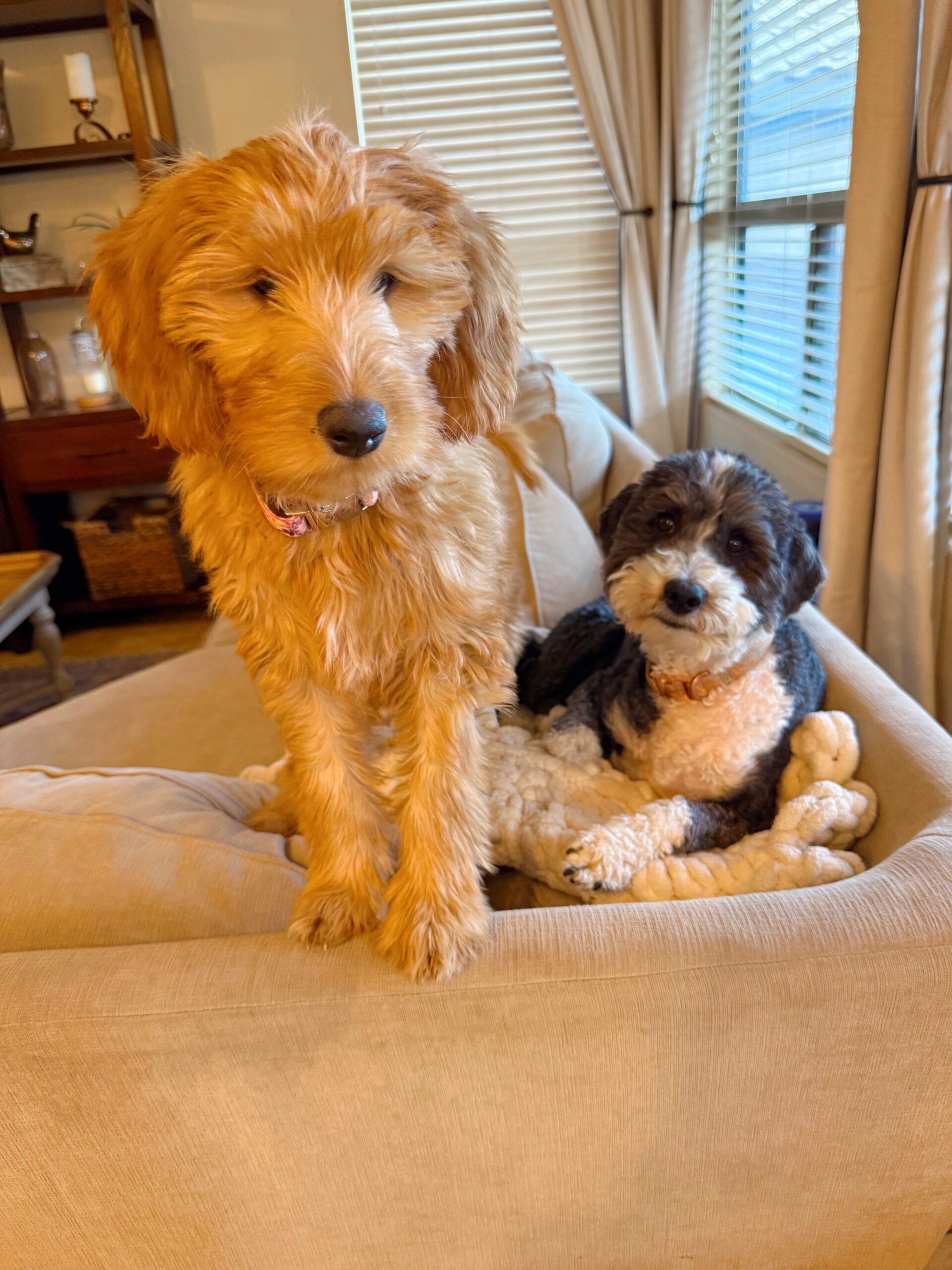 2.6 Favoritos de sexta-feira – The Fitnessista