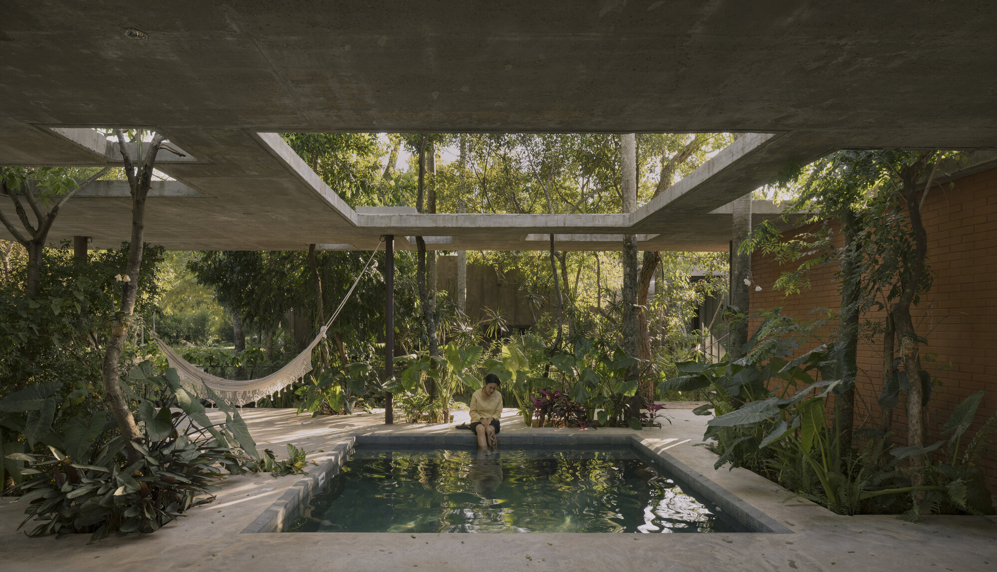 A Forest in the House / Equipo de Arquitectura