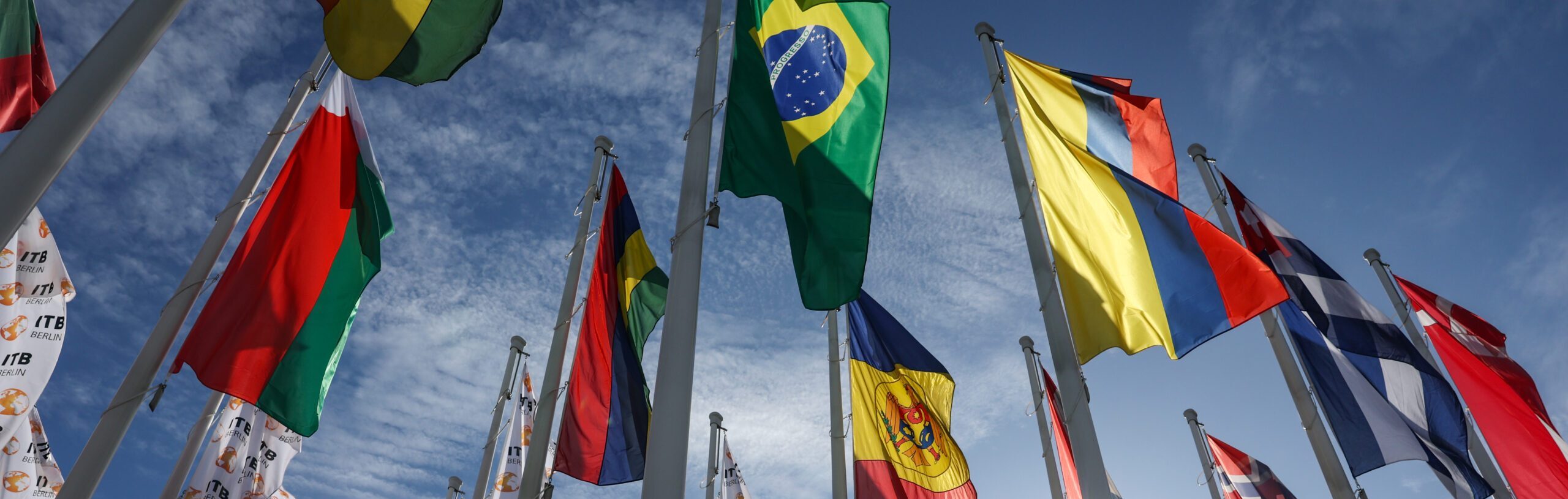 Projeto Golfinho Rotador vence prêmio internacional e coloca o Brasil no topo do turismo sustentável mundial