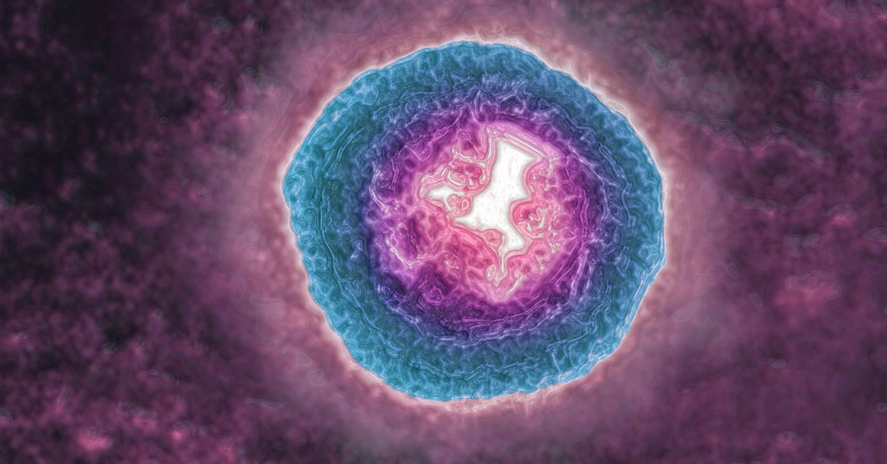 O vírus da zona pode estar envelhecendo mais rapidamente