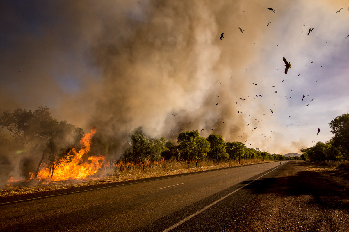 Alerta crítico de incêndio: ameaça de incêndio em rodovias aumenta com rajadas de 55 MPH e 15% de umidade varrendo a I-80 através de Wyoming e Nebraska