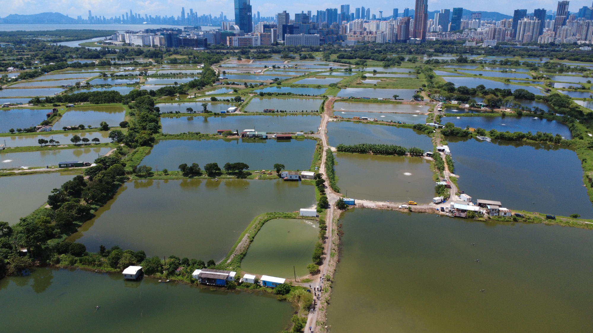 Da nuvem à costa: o custo físico da IA ​​nas fronteiras de Hong Kong