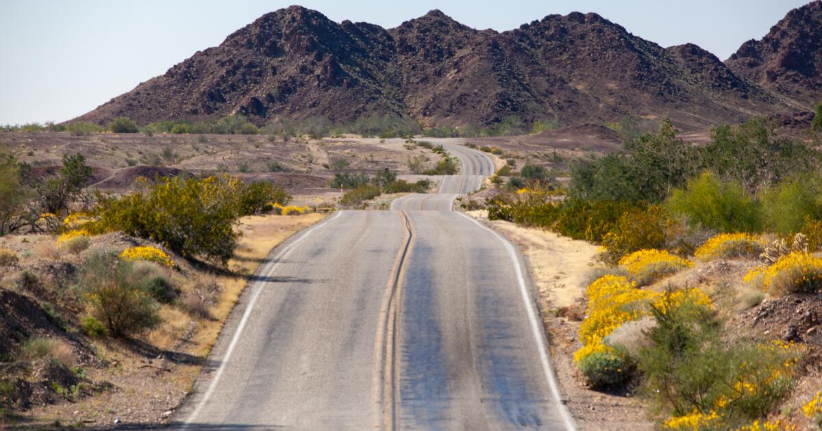 Uma viagem de primavera pela Highway 78 passando por Julian e Borrego Springs