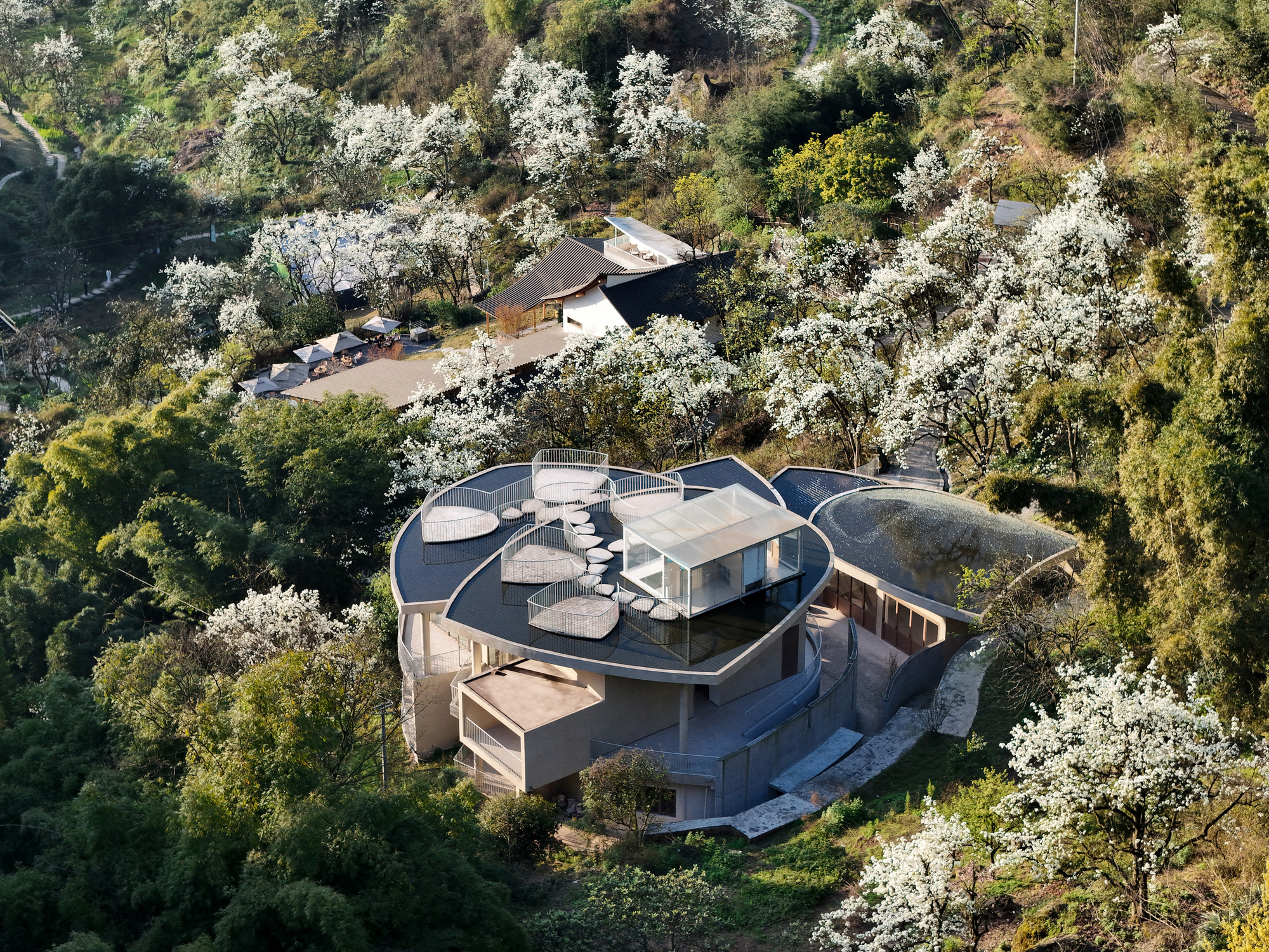 Buzzy Sunny · Pavilhão Feixue / Arqueiro