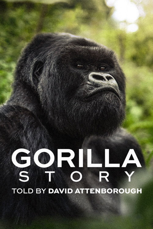 Uma história de gorila: contada por David Attenborough